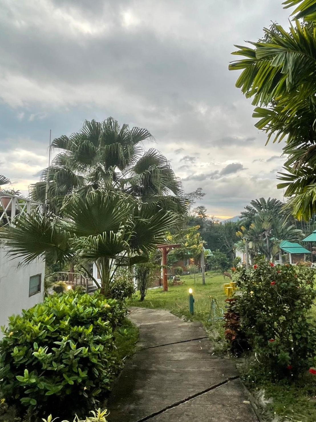 Pai Love & Baan Chonphao Resort מראה חיצוני תמונה